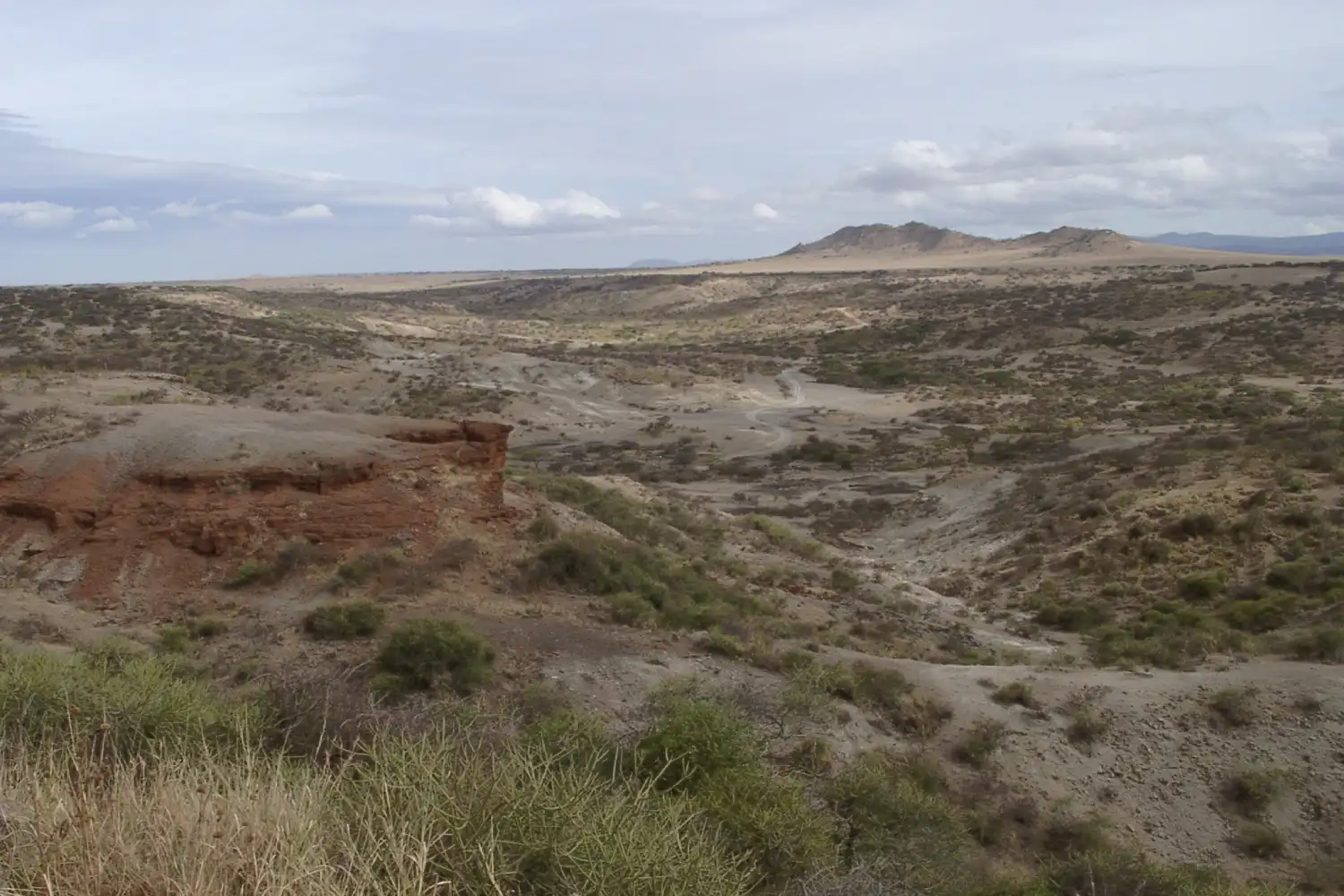 Olduvai Gorge Archaeological Tour