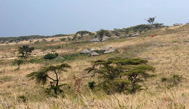 Maasai Village