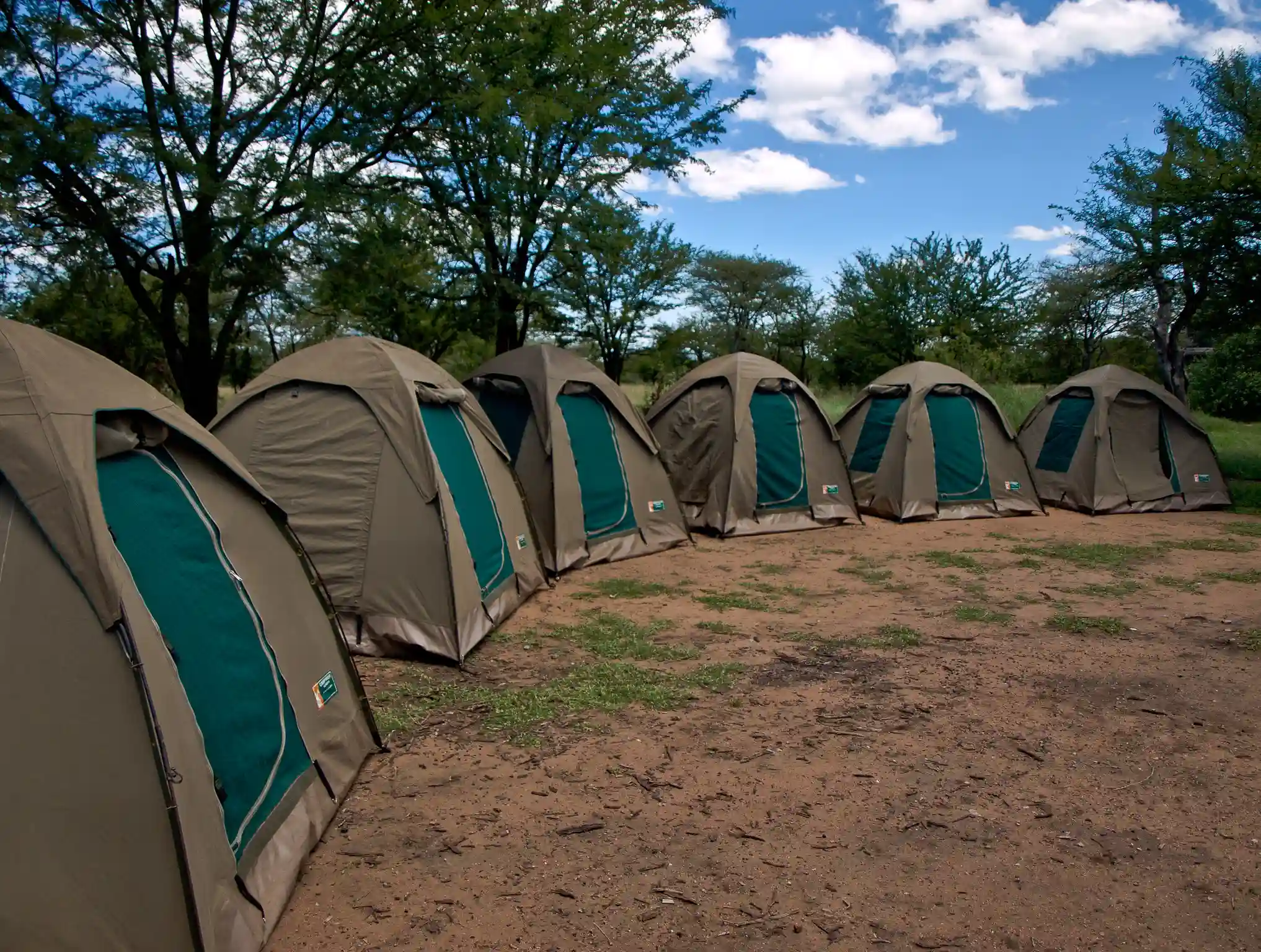 Camping Safari Experience