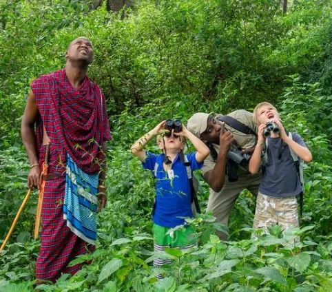 Family Friendly Safari Experience