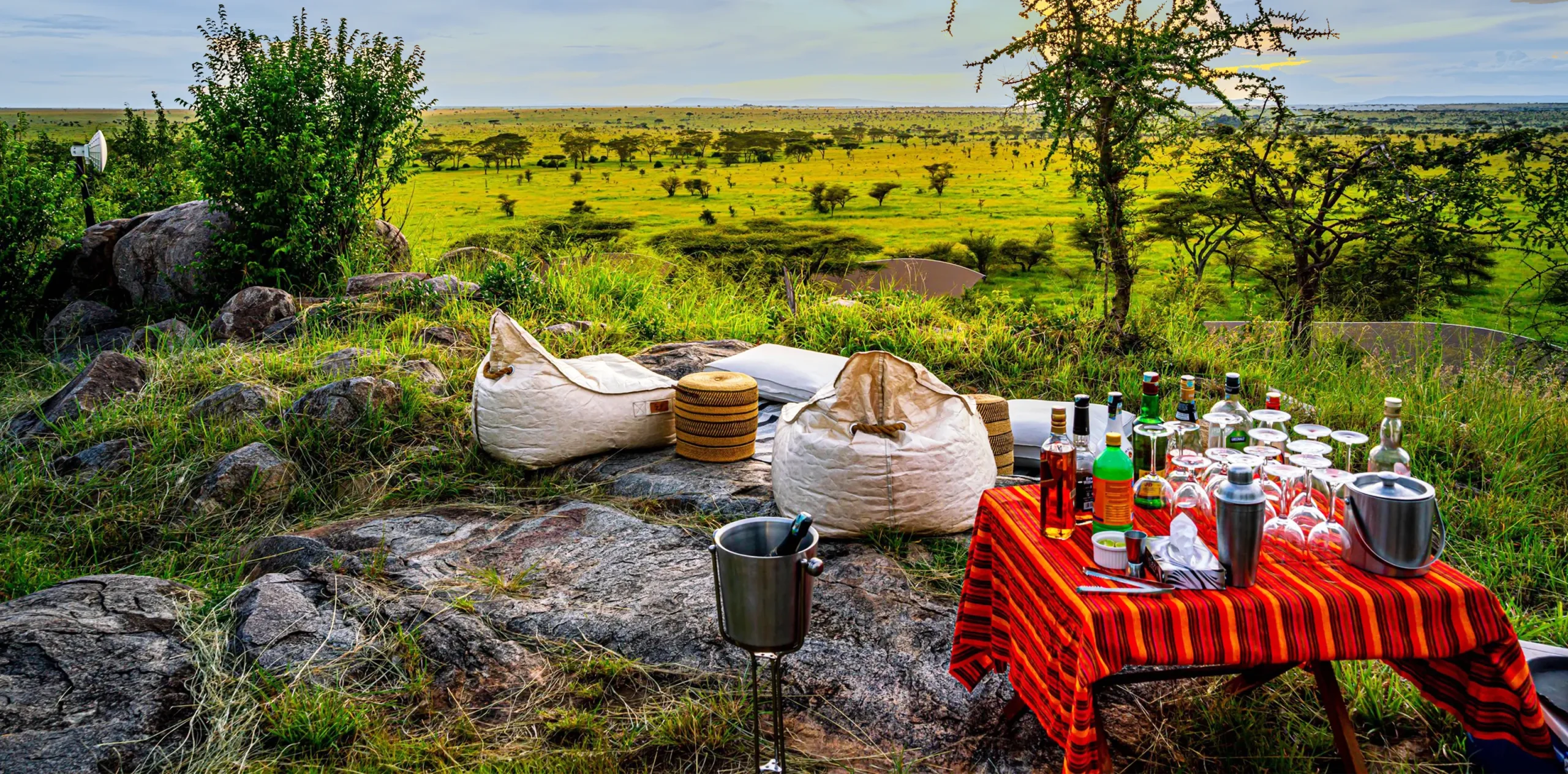 Luxury Safari Experience