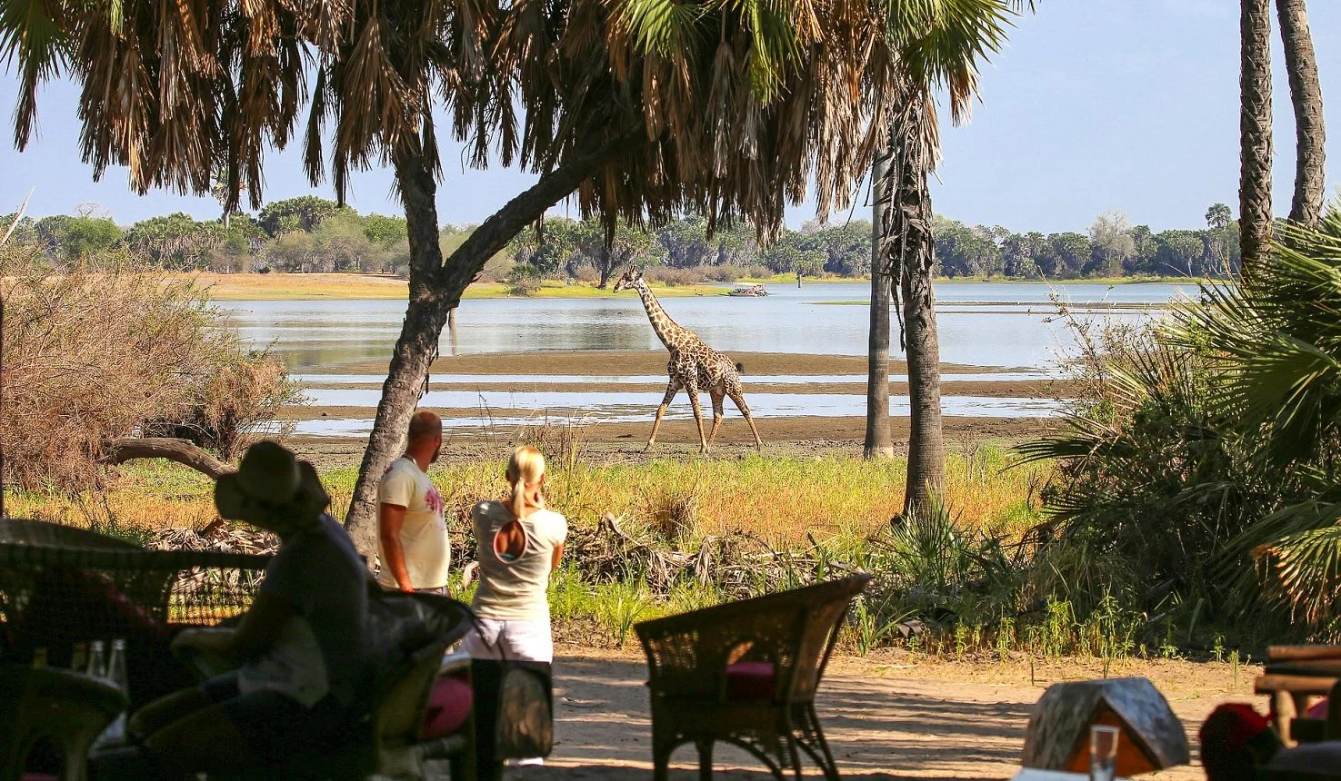 Selous Romantic Safari