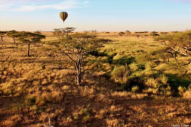 Serengeti Hot Air Balloon Safari