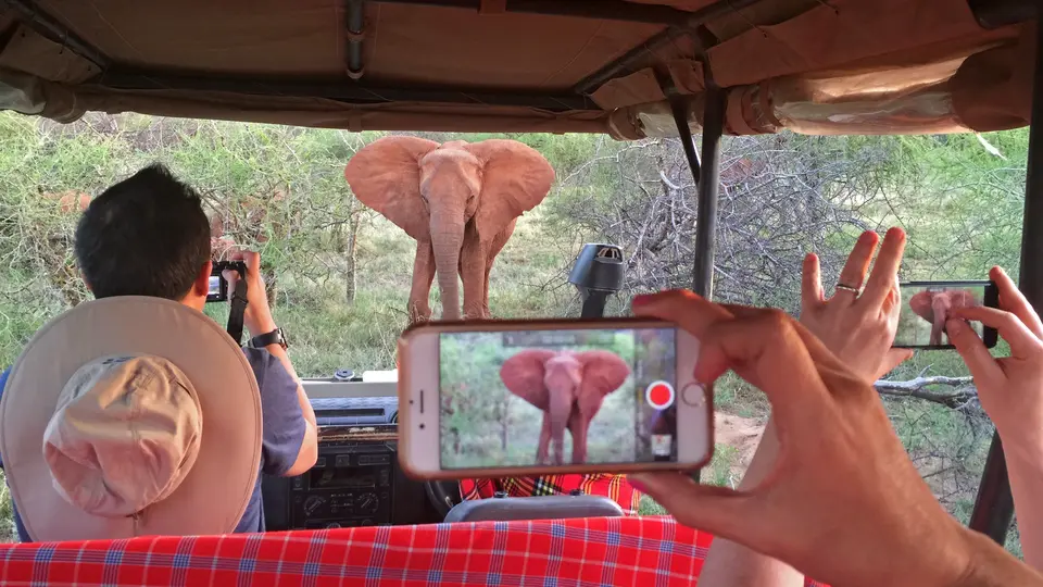 Ultimate Comprehensive 2025/2026 Safari Guide